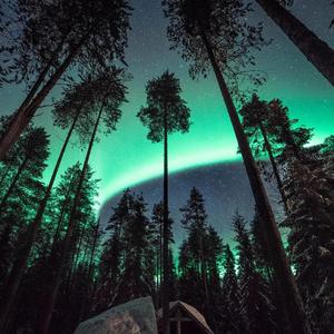 麻豆女奶奶肏屄影院
